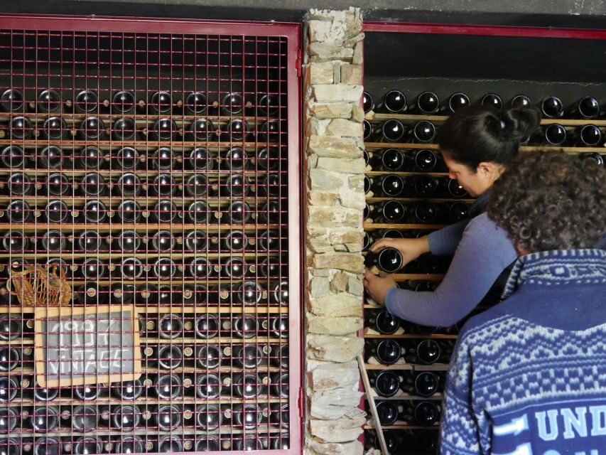 Douro Valley: Premium Port Tasting Winery Tour & River Views - Price and value: $34 for wine, views, and a proper cellar visit