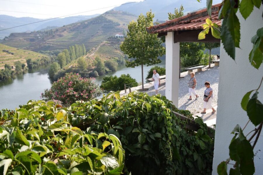Douro Valley: Premium Port Tasting Winery Tour & River Views - Entering the 18th-century cellars: where aging becomes a story