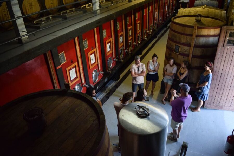 Douro Valley: Premium Port Tasting Winery Tour & River Views - Historic lagares and foot treading: seeing tradition, not just hearing it