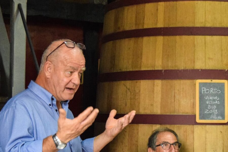 Douro Valley: Premium Port Tasting Winery Tour & River Views - Your tasting flight: three Ports or three DOC reds
