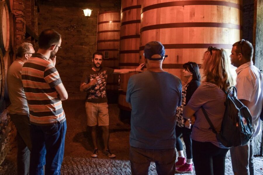 Douro Valley: Premium Port Tasting Winery Tour & River Views - What the guides do that actually improves the tour