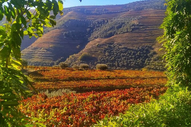 Douro Valley Prime Tour: Wine Tastings, Boat & Lunch from Porto - From Vinho Verde to Amarante: Scenic Warm-Up Stops