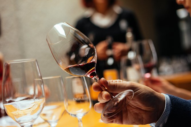 Douro Valley Private Day Trip including Boat Ride & Wine Tasting - From Porto to Pinhão: the valley preview before the wine stops