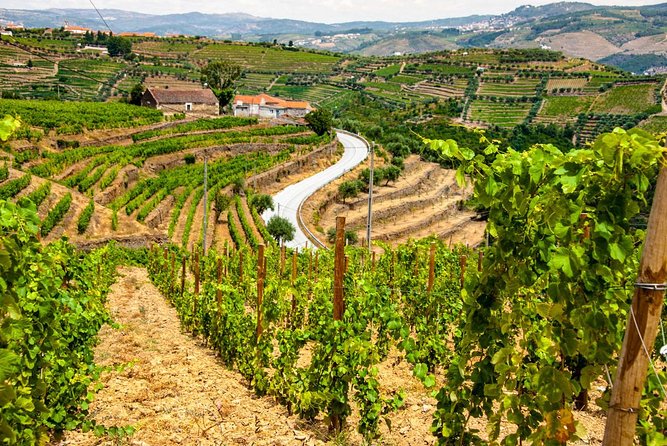 Douro Valley Private Day Trip including Boat Ride & Wine Tasting - What to pack for a Douro day with wine and rain risk