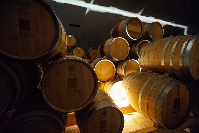 Douro Valley Private Day Trip including Boat Ride & Wine Tasting - Who should book this private Douro day trip