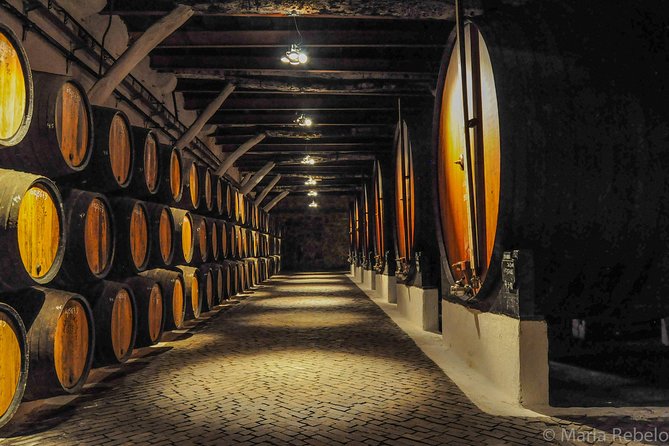 Douro Valley Private Full–Day Tour from Porto - How a private Douro day works from Porto