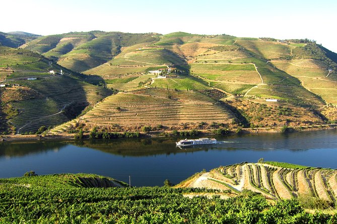 Douro Valley Private Full–Day Tour from Porto - Stop 1: CMTour Douro Valley (15 minutes with admission included)