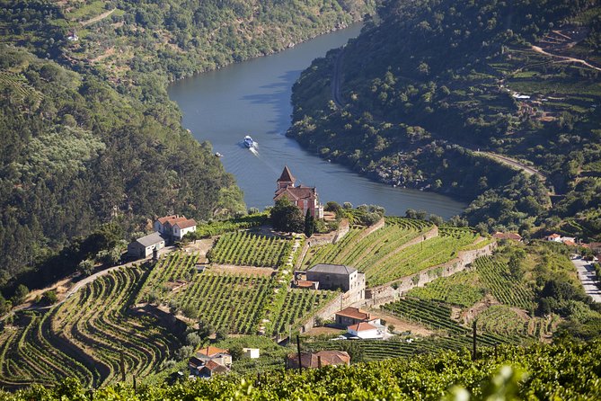 Douro Valley Private Full–Day Tour from Porto - Timing and transport: the 10-hour rhythm