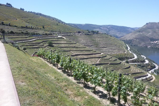 Douro Valley Private Premium Tour with Wine Tasting (1 to 4 people) - National Road 222: the drive you’ll remember more than you expect