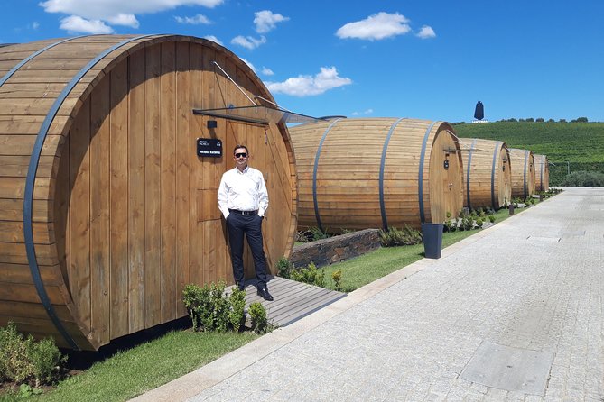 Douro Valley Private Premium Tour with Wine Tasting (1 to 4 people) - Comfort, timing, and the small perks that add up