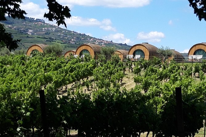 Douro Valley Private Premium Tour with Wine Tasting (1 to 4 people) - What’s included versus what costs extra