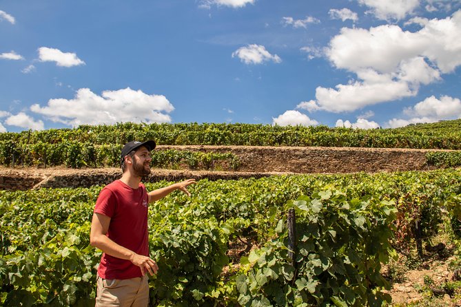 Douro Valley: private tour with lunch and wine estate all inclusive - Starting in Porto: what your day feels like