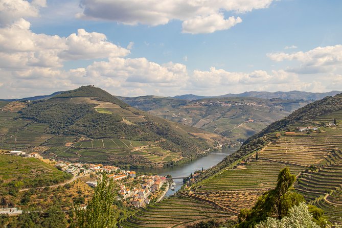 Douro Valley: private tour with lunch and wine estate all inclusive - N222 road driving: the “scenic world’s best road” moment
