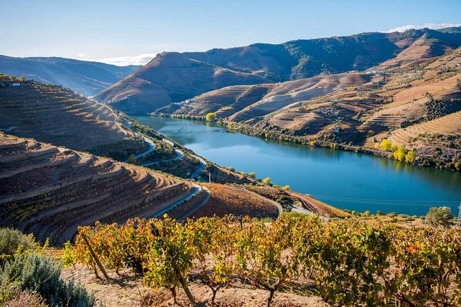 Douro Valley: private tour with lunch and wine estate all inclusive - Amarante first: town charm and sugar stops