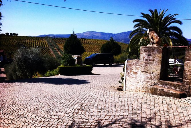 Douro Valley Private Wine and Food Tour From Porto - Pinhão lunch: plan for extra cost, then enjoy the pace