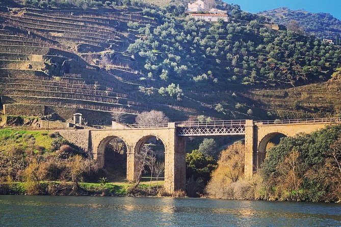 Douro Valley Private Wine and Food Tour From Porto - How the schedule fits: timing, duration, and the reality of travel days