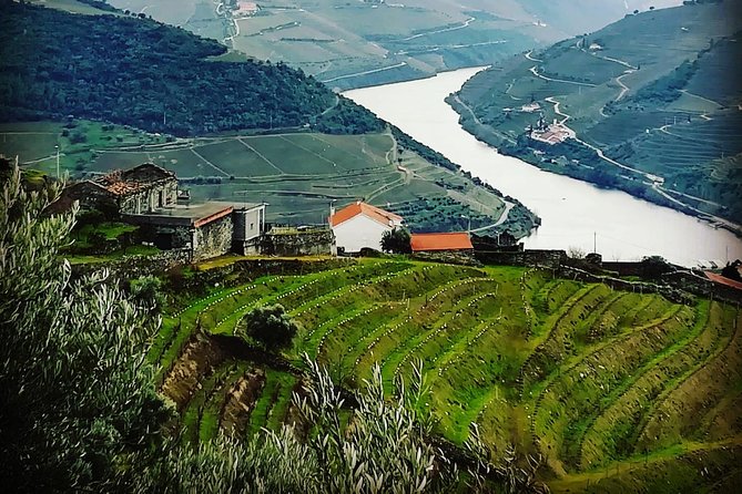 Douro Valley Private Wine and Food Tour From Porto - Stop 1: Quinta do Seixo (Sandeman) and why this place is a classic