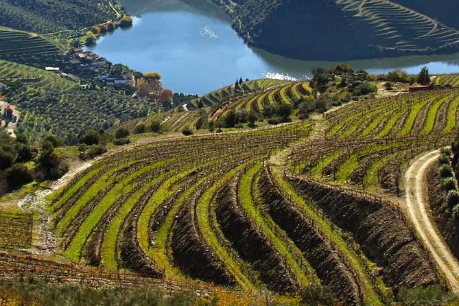 Douro Valley Private Wine Tour From Lisbon - Key points to know before you go