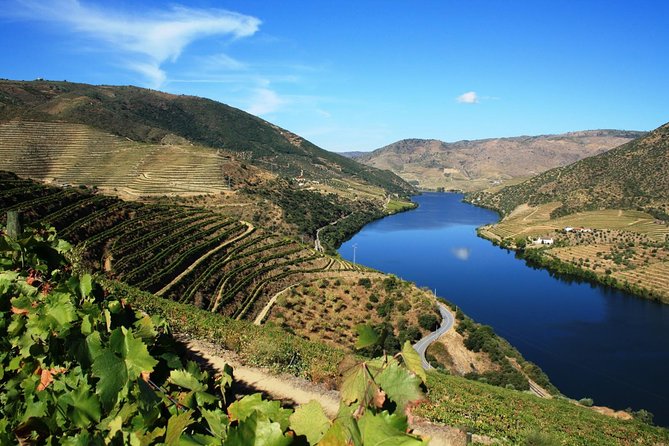 Douro Valley Private Wine Tour From Lisbon - A private Douro day trip is really about reducing stress