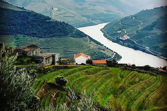 Douro Valley Private Wine Tour From Lisbon - Vineyards and traditional stops: what you’re paying for besides the view