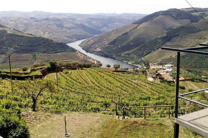 Douro Valley Private Wine Tour From Lisbon - The optional Douro River cruise add-on: decide with your priorities