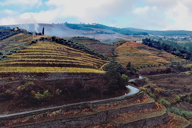 Douro Valley Private Wine Tour From Lisbon - Price and inclusions: where the $434.46 per person really goes