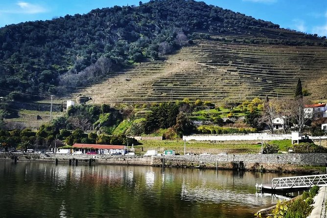 Douro Valley Private Wine Tour From Lisbon - Pace, comfort, and a realistic 12-hour schedule plan