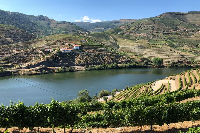 Douro Valley private wine tour | tastings and lunch included - Port and Douro DOC tastings at traditional quintas