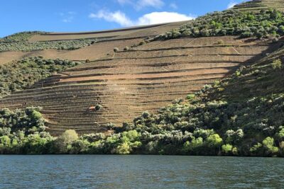 Douro Valley private wine tour | tastings and lunch included - Pinhão train station: a quick stop with big story power