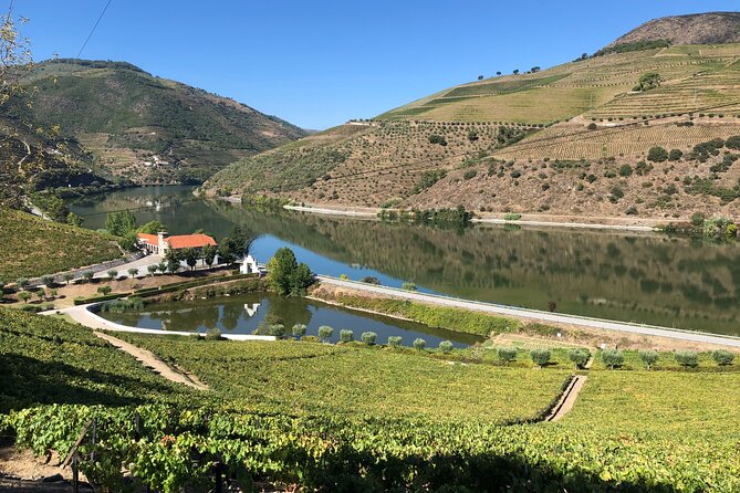 Douro Valley private wine tour | tastings and lunch included - Who should book this Douro Valley private tour (and who should skip it)