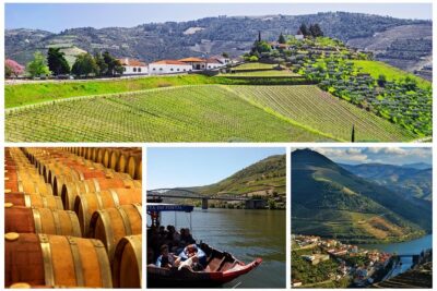 Douro Valley - Relaxed Departure from Porto - Santa Marta de Penaguão: Port Wine Tasting with Valley Energy