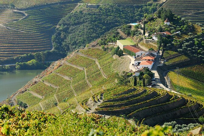 Douro Valley - Relaxed Departure from Porto - Price and Value: What $102.80 Gets You in the Real World