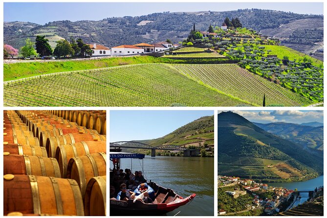 Douro Valley - Relaxed Departure from Porto - Santa Marta de Penaguão: Port Wine Tasting with Valley Energy