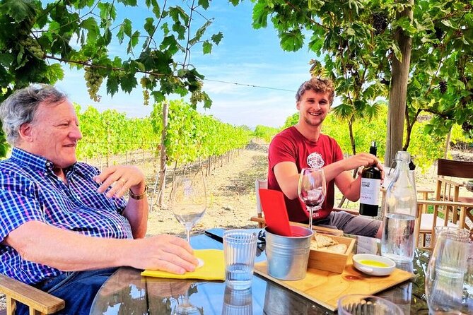 Douro Valley Small-Group Tour: 2 Wineries, Lunch, Optional Cruise - Porto to Douro Valley With Pickup: You Lose the Headache, Not the Fun