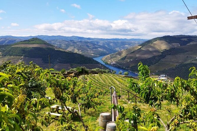 Douro Valley Small-Group Tour: 2 Wineries, Lunch, Optional Cruise - Winery Stops and Tastings: What You’ll Actually Get Out of Them