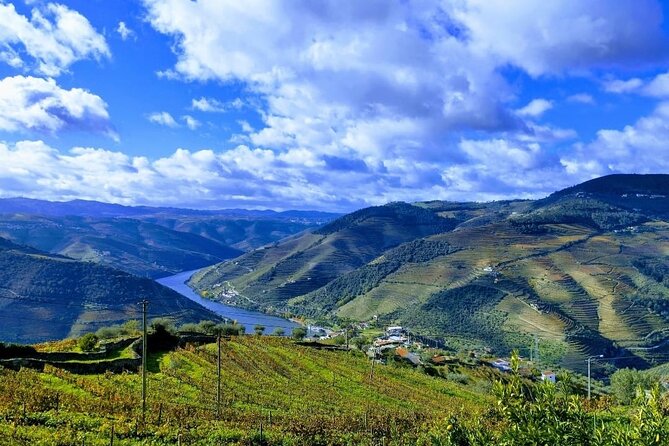 Douro Valley Small-Group Tour: 2 Wineries, Lunch, Optional Cruise - Lunch in the Douro: Local Food, Vineyard Views, and No Extra Planning