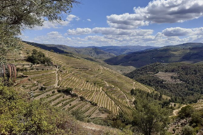 Douro Valley Small-Group Tour: 2 Wineries, Lunch, Optional Cruise - Price and Value: Is $187 a Good Deal?