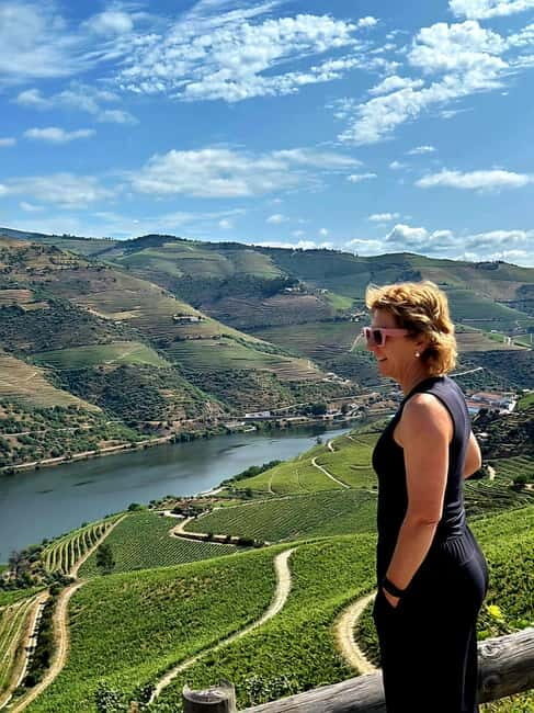 Douro Valley: Small-Group Tour, Winery's Lunch, Private Boat - Getting To the Valley: Porto Pickup, Air-Conditioned Van, and the N222 Road