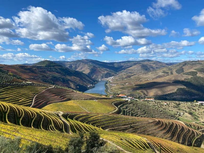 Douro Valley: Small-Group Tour, Winery's Lunch, Private Boat - Private 1-Hour Cruise on the Douro: Terraces From the Water