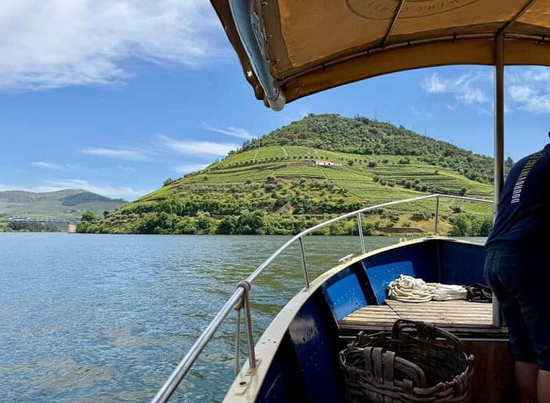 Douro Valley: Small-Group Tour, Winery's Lunch, Private Boat - Should You Book It