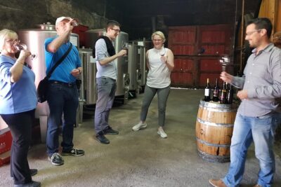 Douro Valley Tour: 2 Vineyard Visits, River Cruise, Winery Lunch - Stop 1 in Lamego: A Family Vineyard With Big Terrace Views