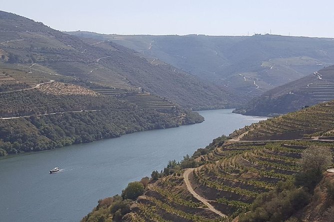 Douro Valley Tour: Wine Tasting River Cruise and Lunch from Porto - A Douro Day Trip Built Around Real Time, Not Just Stops