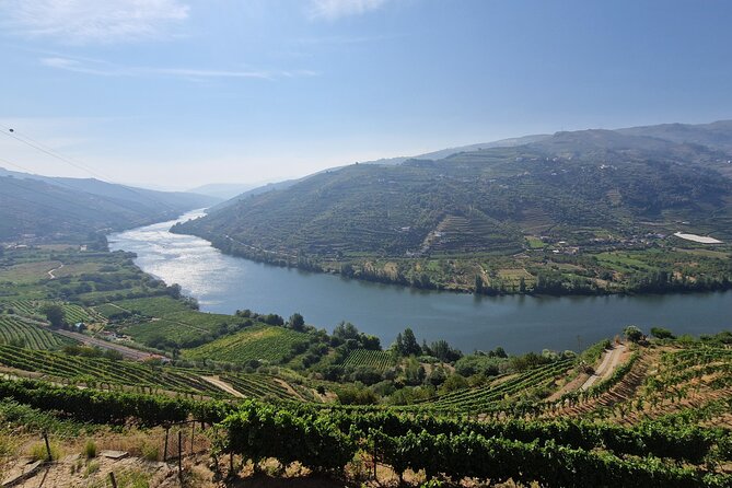 Douro Valley Tour: Wine Tasting River Cruise and Lunch from Porto - Amarante: Church and Monastery Time in a Real Portuguese City