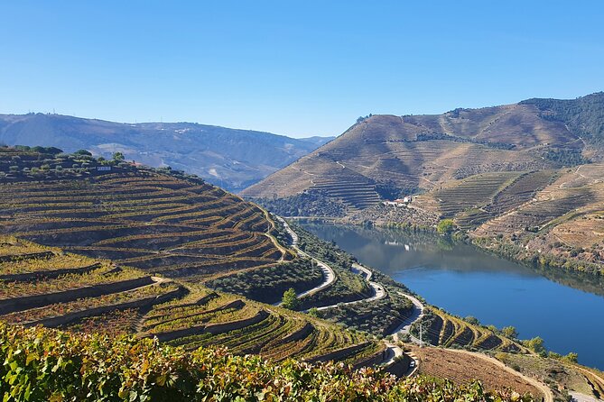 Douro Valley Tour: Wine Tasting River Cruise and Lunch from Porto - Farm Wine Tasting and Lunch: Where the Day Becomes Social