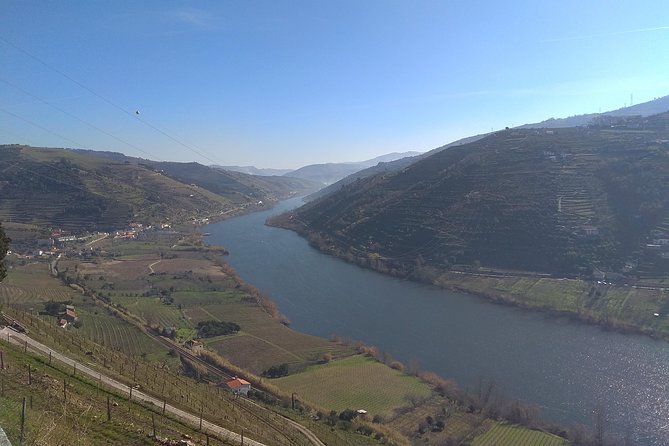 Douro Valley Tour: Wine Tasting River Cruise and Lunch from Porto - Price and Value: What You’re Really Paying For