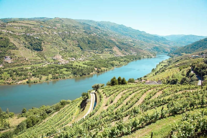 Douro Valley: Tour with Wine Tastings, Lunch, and Boat Ride - Pinhão and the 1-Hour Douro River Cruise: The Calm in the Middle