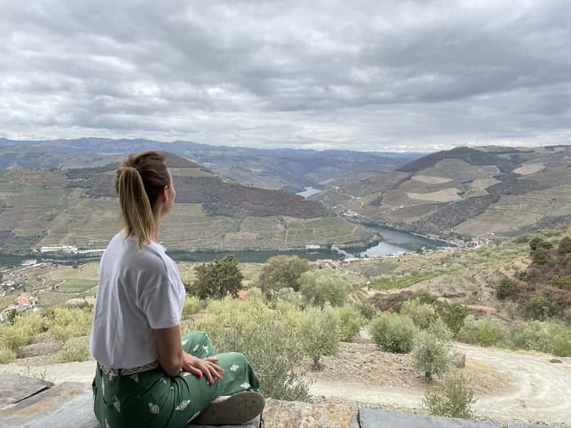Douro Valley: Tour with Wine Tastings, Lunch, and Boat Ride - Price and Value: Why $169 Can Be a Good Deal Here
