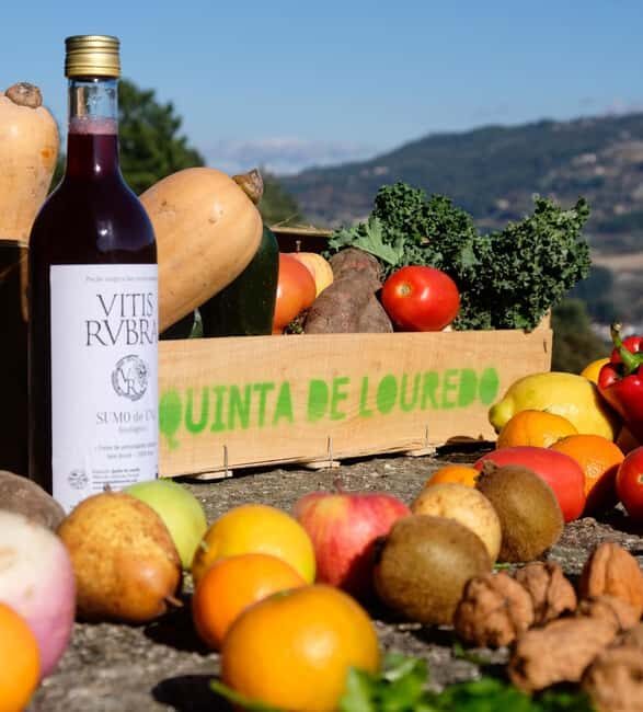 Douro Valley: Traditional Cooking Class, Farm Tour and Lunch - Quinta de Louredo: Portuguese family hospitality, powered by a farm comeback
