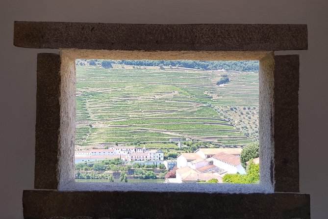 Douro Valley Wine Tour: 3 Vineyard Visits, Wine Tastings, Lunch - National Road 222 drive: why this route matters for photos