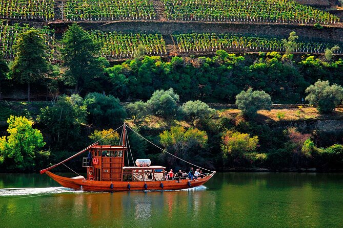 Douro Valley Wine Tour Private Group, 1h Cruise, Lunch from Porto - Gliding past terraced vineyards: the UNESCO part you can actually see